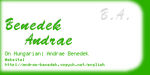benedek andrae business card
